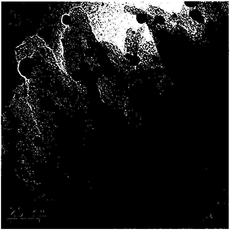 Difunctional electrocatalyst