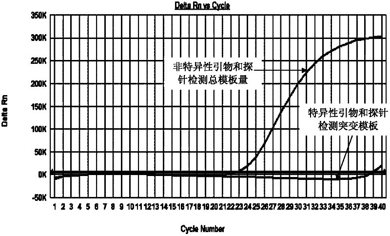 Primers and probes for detecting mutation of cancer gene BRAFV600E