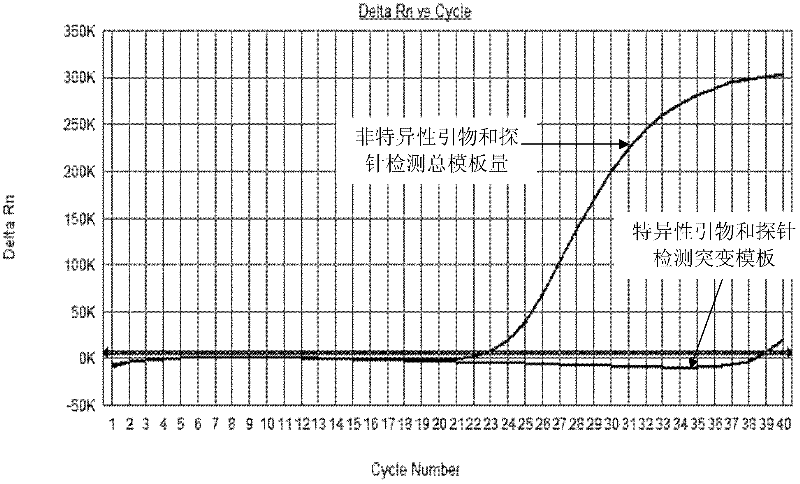 Primers and probes for detecting mutation of cancer gene BRAFV600E