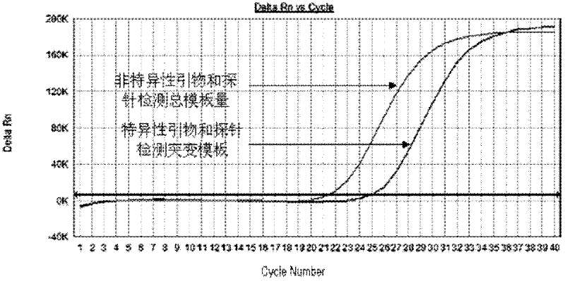 Primers and probes for detecting mutation of cancer gene BRAFV600E