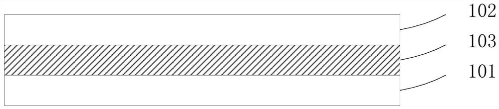 A kind of backlight module and display device