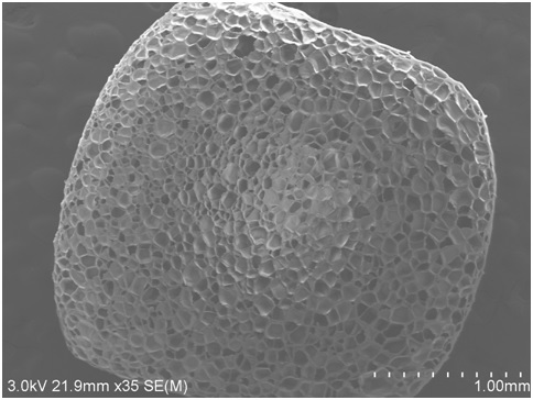 Gray antistatic polypropylene composite foamed beads with skin-core structure and molded products thereof