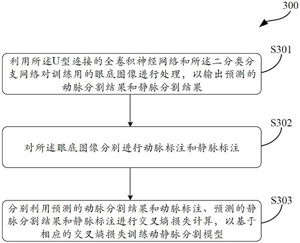 Method for analyzing retinal fundus images and related products