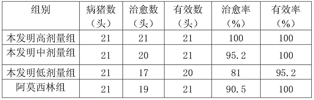 Traditional Chinese medicine decoction liquid for treating swine erysipelas and preparation method thereof