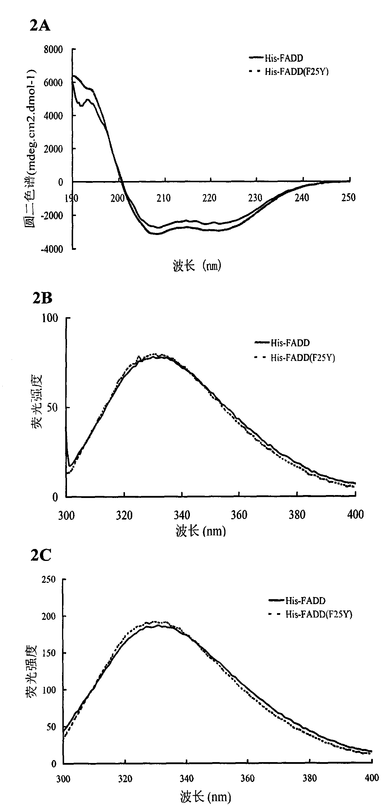 Preparation method of recombinant Fas-associated death domain protein and application thereof