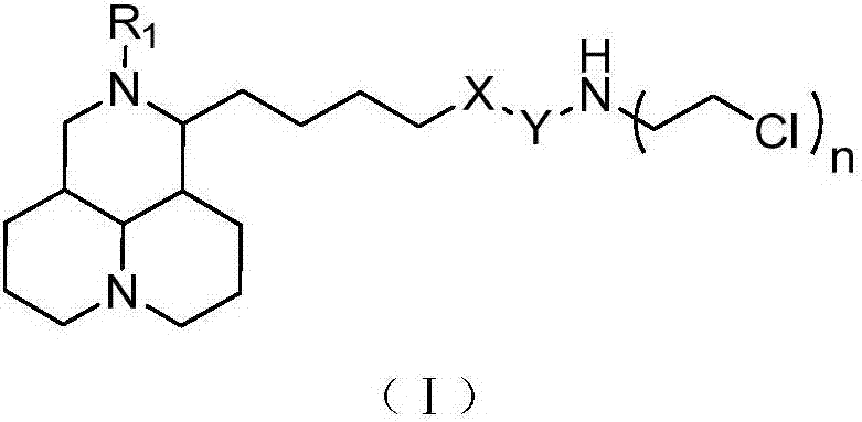 Sophoridine derivative with nitrogen mustard as well as preparation method and application of sophoridine derivative