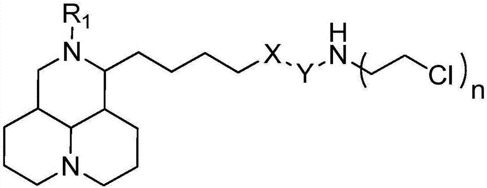 Sophoridine derivative with nitrogen mustard as well as preparation method and application of sophoridine derivative