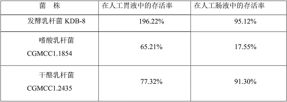 Novel lactobacillus fermenti and application thereof in lactic acid bacterium drink