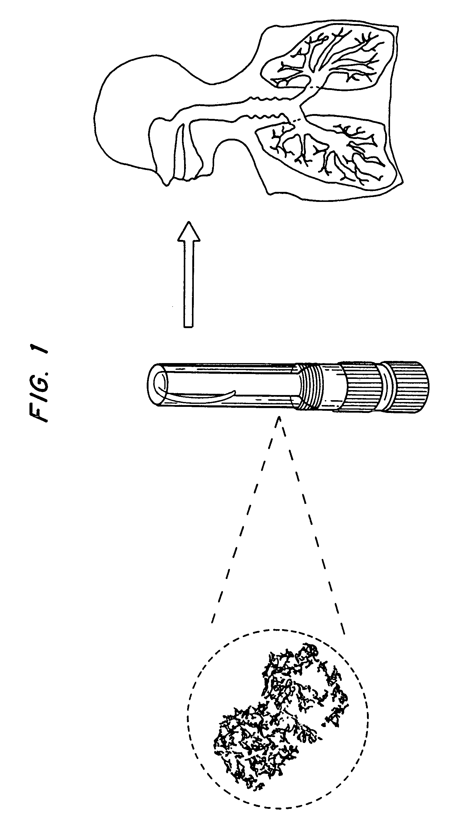 Compositions for treatment or prevention of bioterrorism