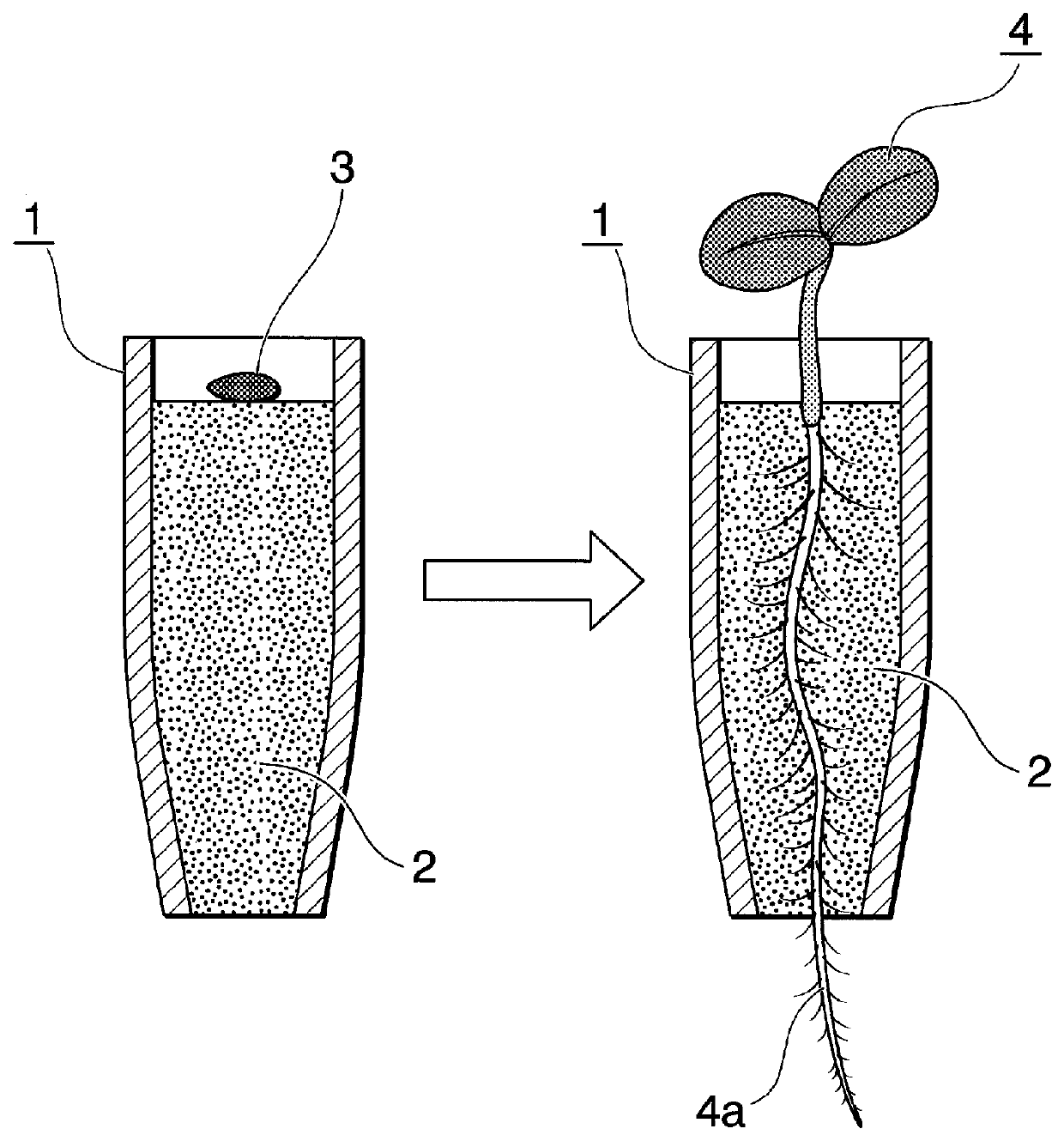 Method for selecting plant symbiotic microbes, and microbial mixture