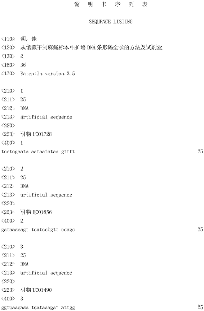 Method and kit for amplifying full-length dna barcodes from dried hemp fly specimens in collections