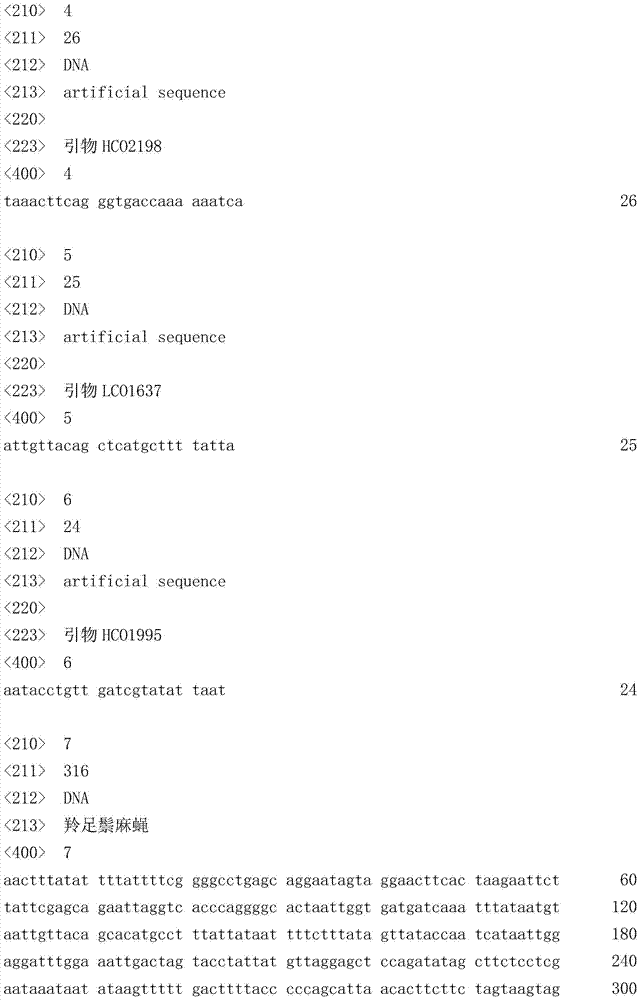 Method and kit for amplifying full-length dna barcodes from dried hemp fly specimens in collections