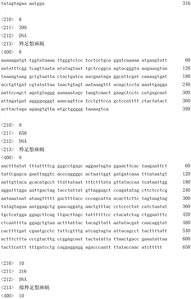 Method and kit for amplifying full-length dna barcodes from dried hemp fly specimens in collections