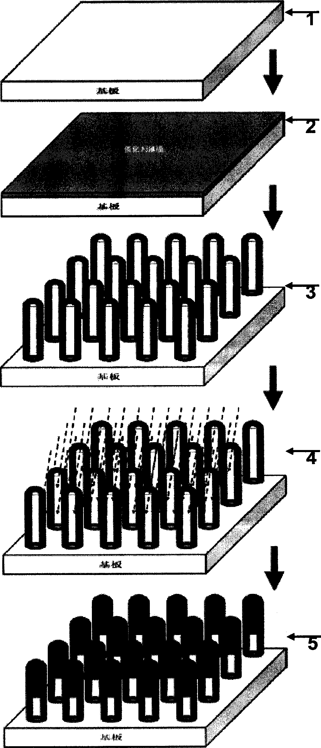 Carbon nano-fibre/carbon nano-tube heterogeneous nano-array for field electronic emitter and manufacturing technology thereof