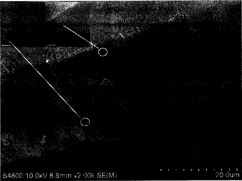 Carbon nano-fibre/carbon nano-tube heterogeneous nano-array for field electronic emitter and manufacturing technology thereof