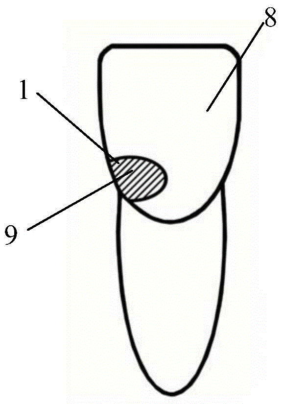 Transparent repair tooth forming sheet and preparation method thereof