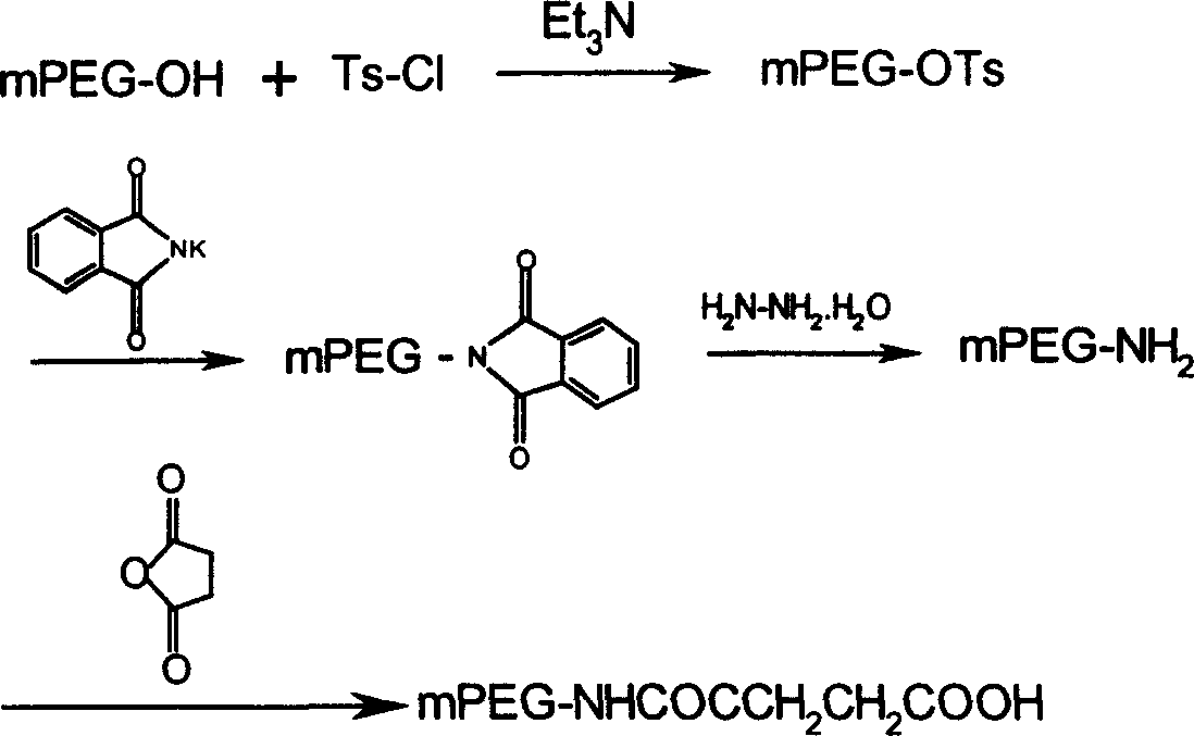 Thymosin alpha 1 active segment cyclicpeptide analogue and its poly glycol derivative