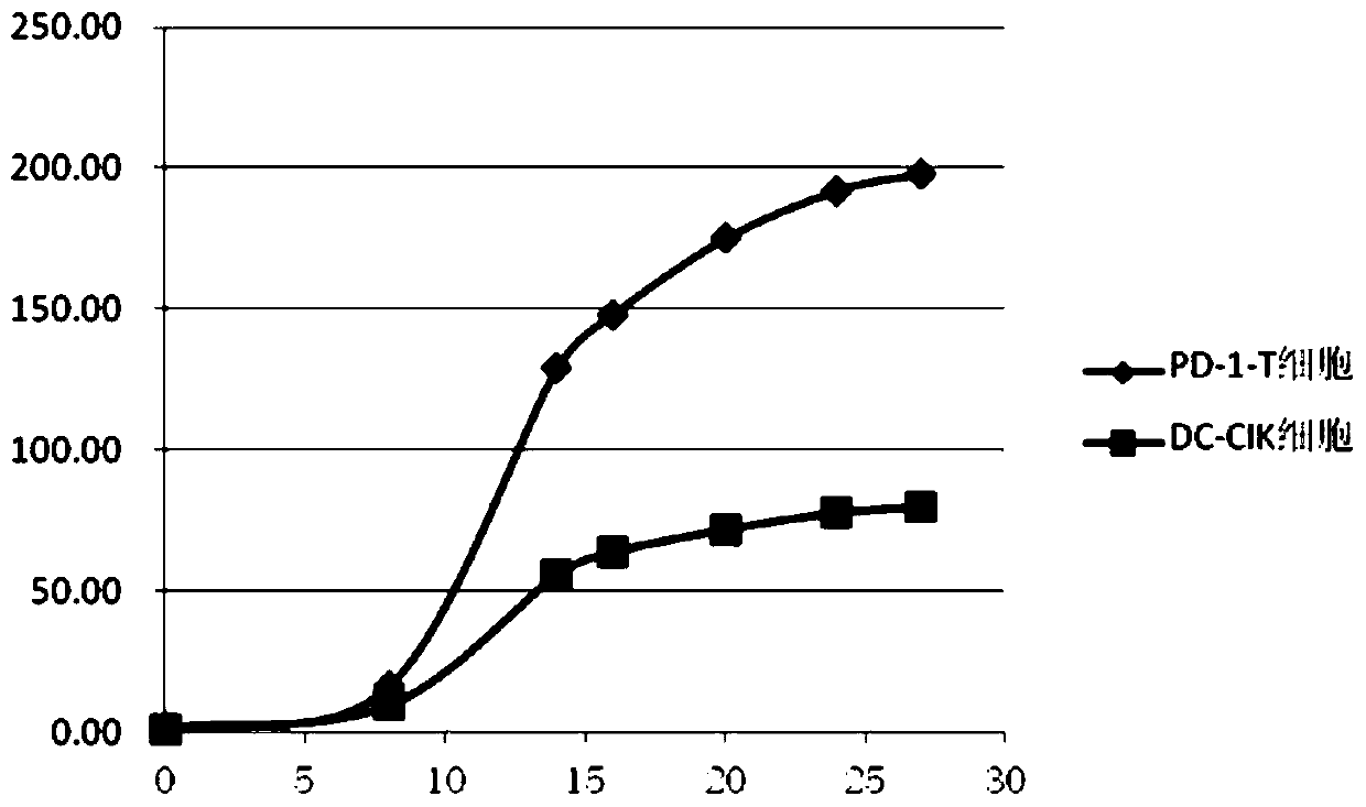 PD-1 antibody loaded T cell in-vitro culture method, cell preparation and application