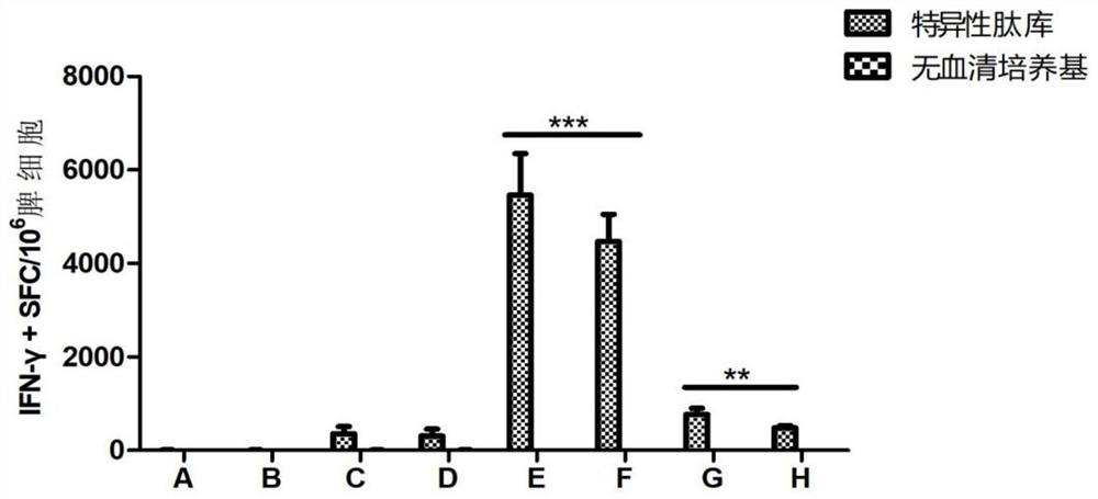 Pharmaceutical composition and application thereof