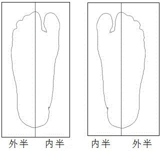 Foot sole and foot shape scanning method