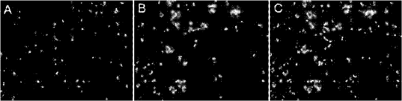 Method for Determination of Minimum Inhibitory Concentration of Drugs