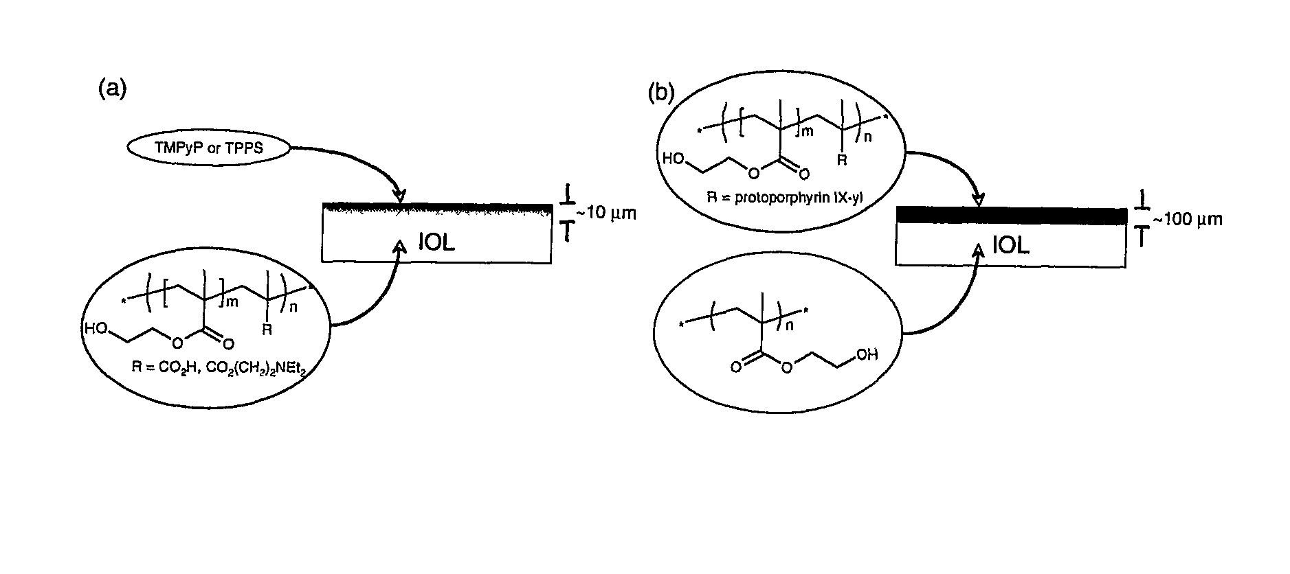 Polymer-supported photosensitizers for the generation of singlet oxygen