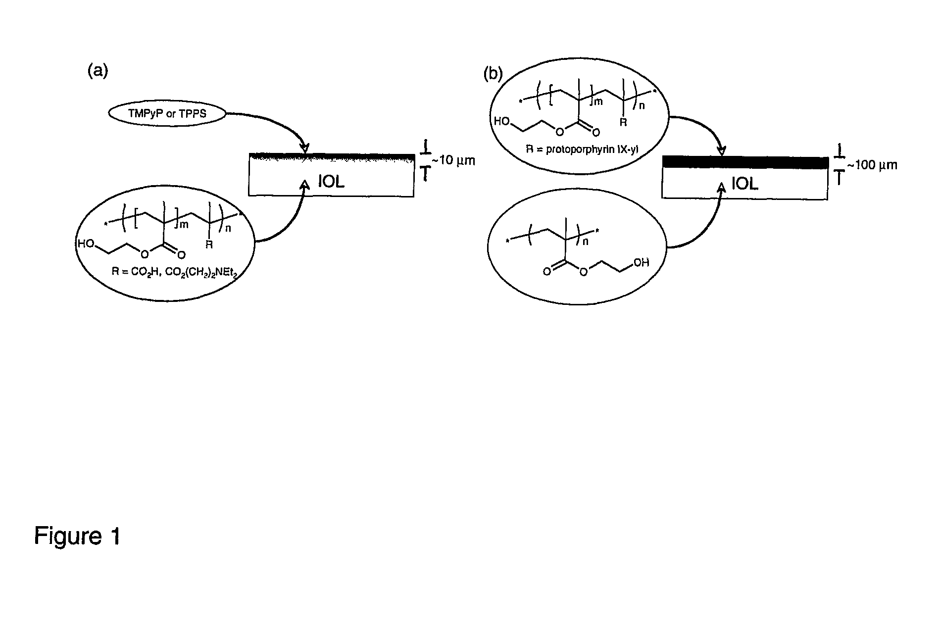 Polymer-supported photosensitizers for the generation of singlet oxygen