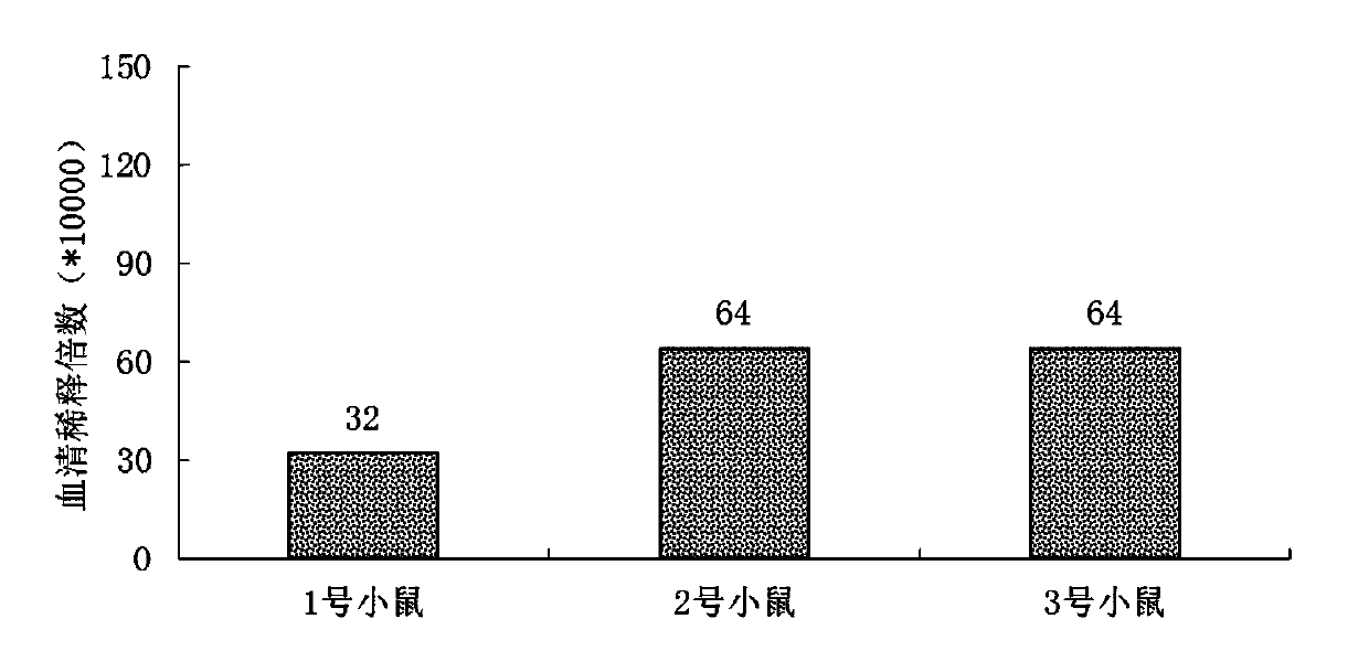 Preparation method of methylene blue hapten and methylene blue immunogen