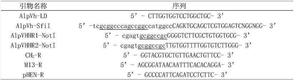 Immune affinity adsorption material for specifically identifying c-Myc labeled nano antibody