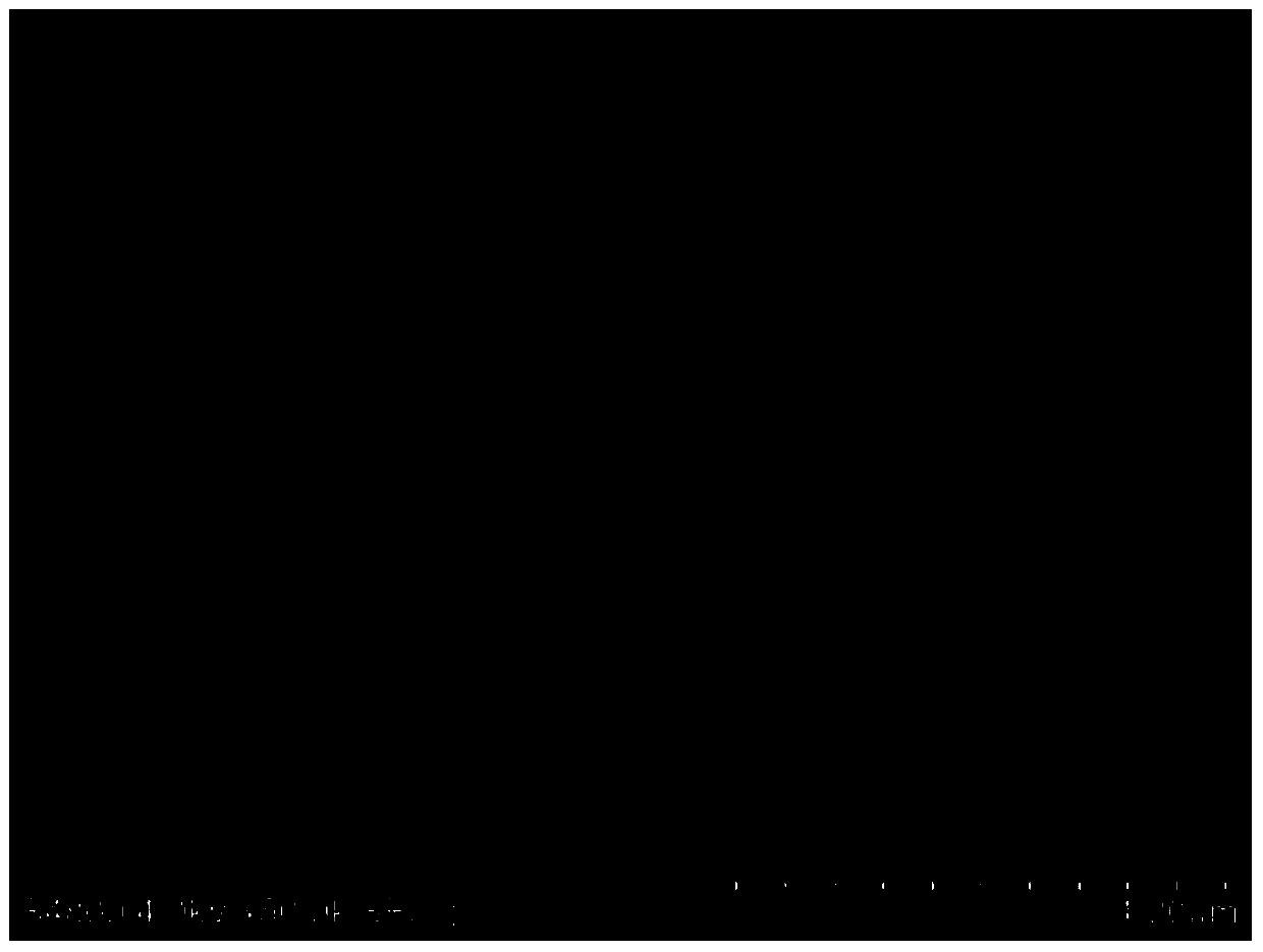 Ytterbium and thulium co-doped hydroxyapatite up-conversion luminescent material and preparation method thereof