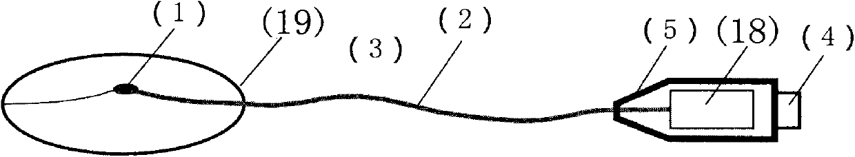 Body temperature monitoring device with timed awakening, identity recognition and data remote wireless transmission functions