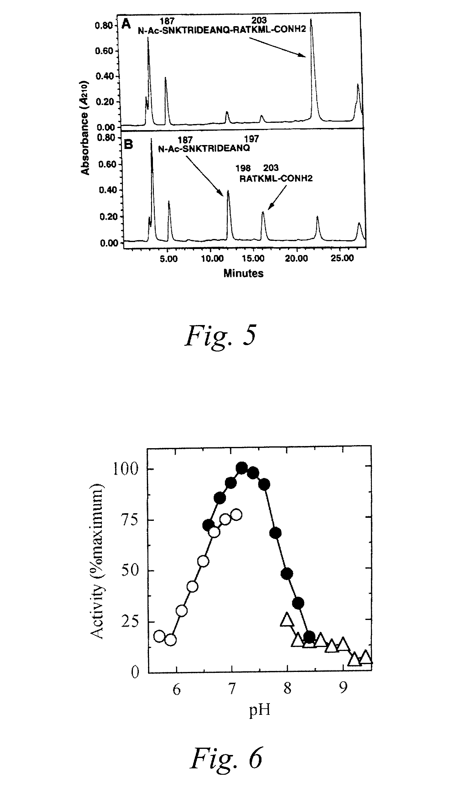 Recombinant light chains of botulinum neurotoxins and light chain fusion proteins for use in research and clinical therapy