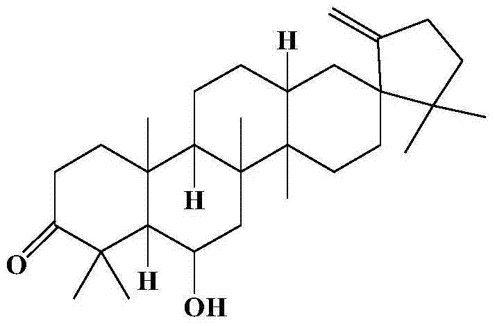 Application of cleistanone O-(1H-tetrazole)ethyl derivative in preparation of anti-hepatic fibrosis drugs