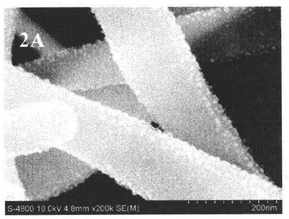 Preparation method of silver nanobelts