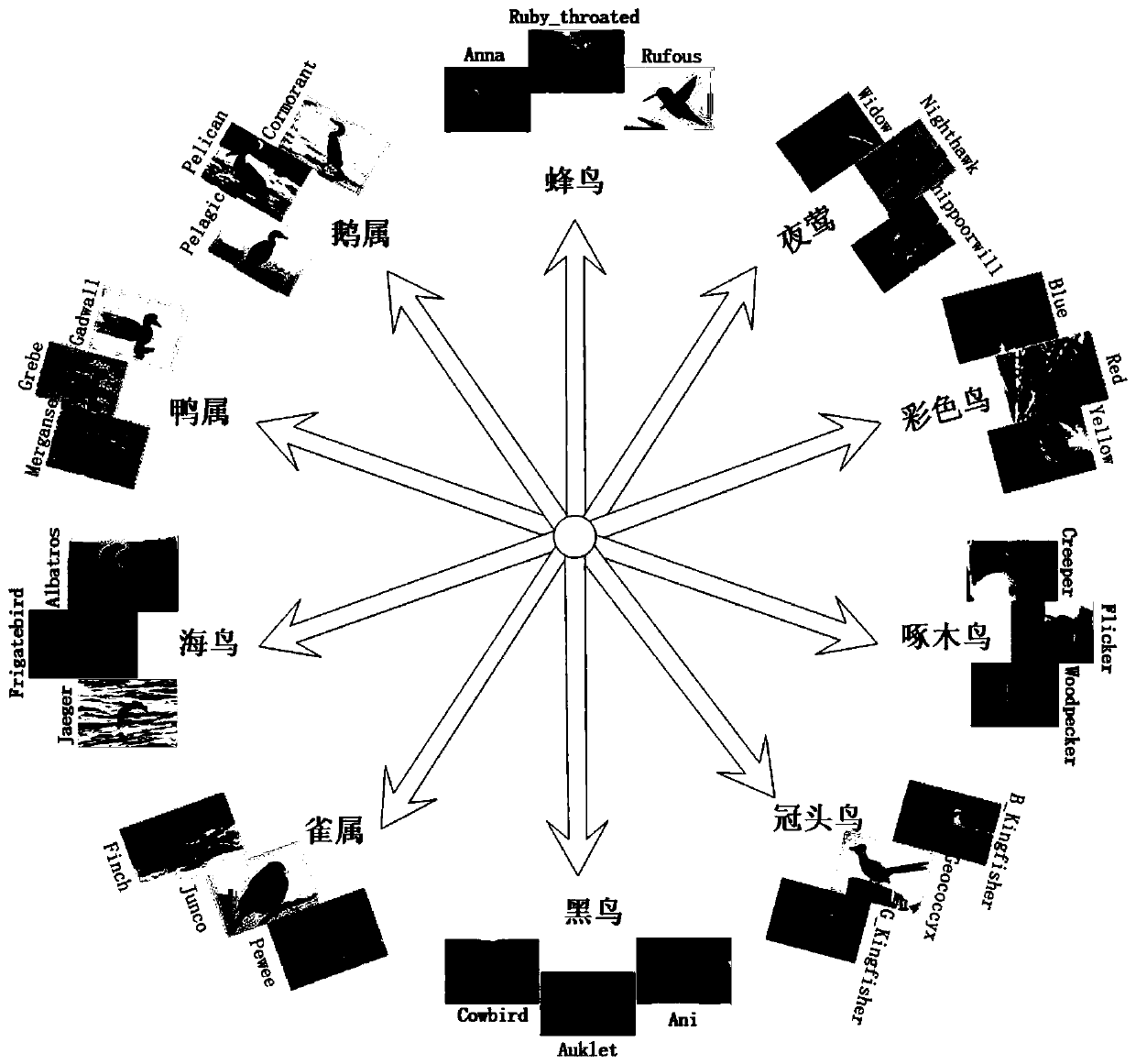 A feature selection method based on a hierarchical deep network