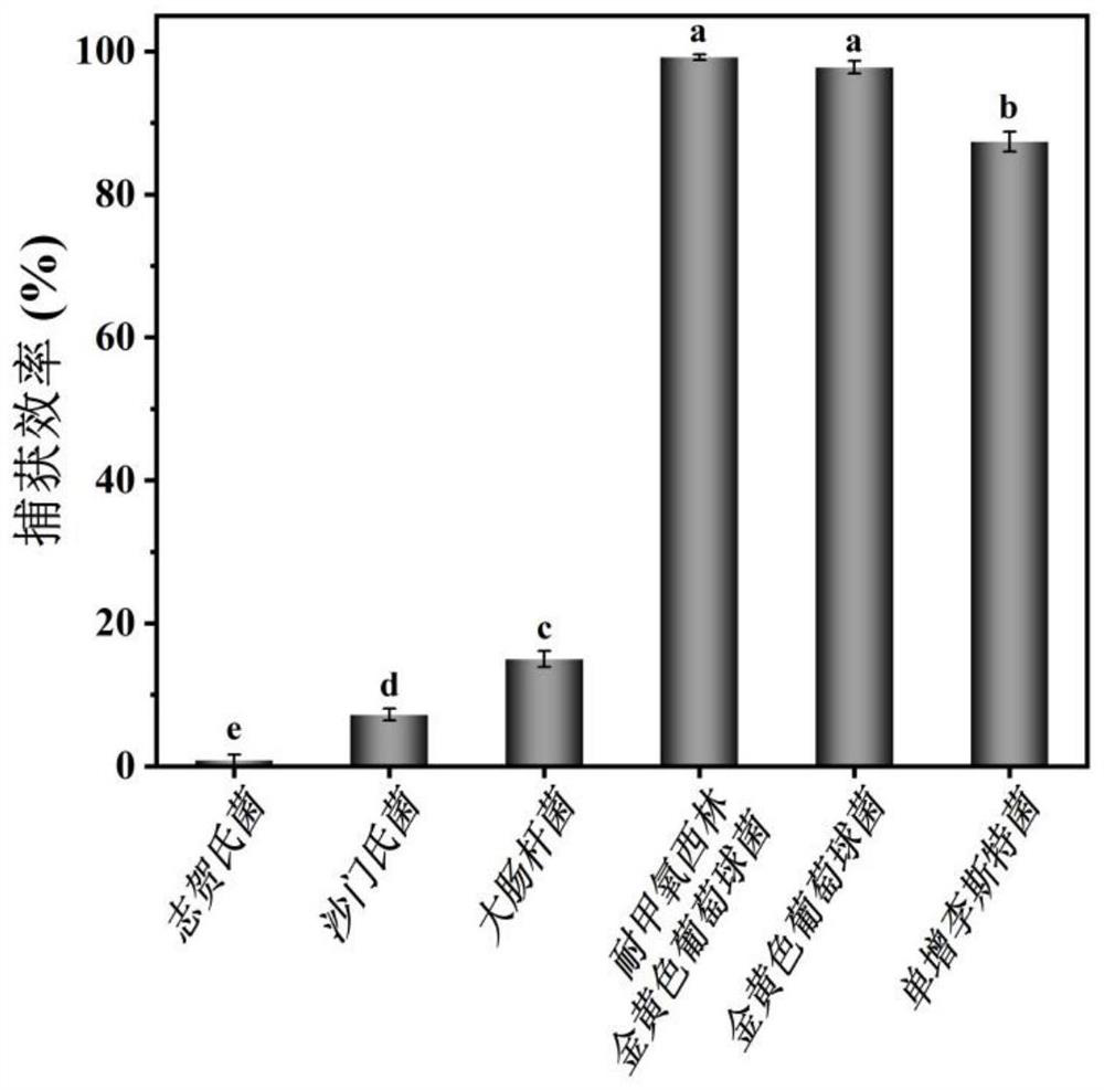 Nano bionic enhanced gram-positive bacterium capturing-separating agent as well as preparation method and application thereof