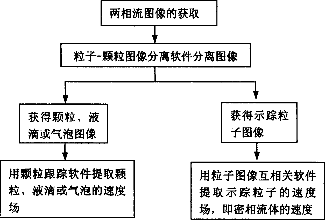 Two-phase flow digital particle image speed measurement method and device