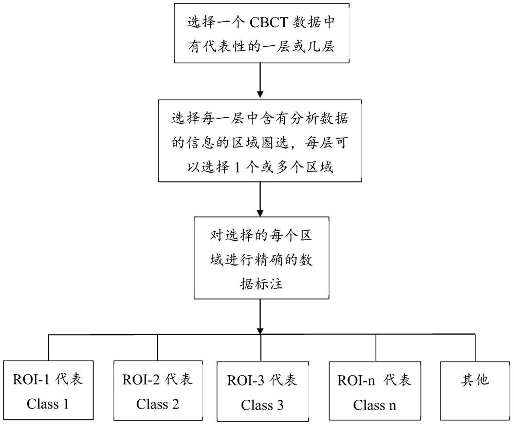 Oral cavity image multi-tissue full-automatic segmentation method and system