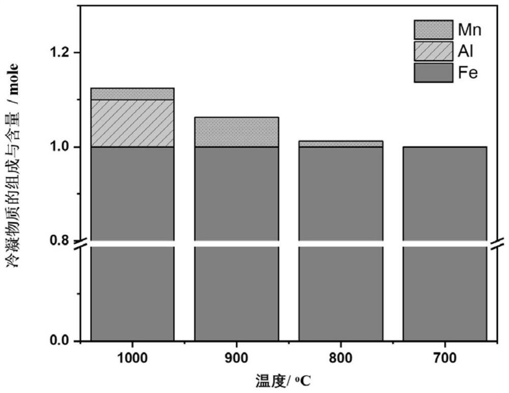 Application of pure iron filter material in gas phase magnesium purification and its production system