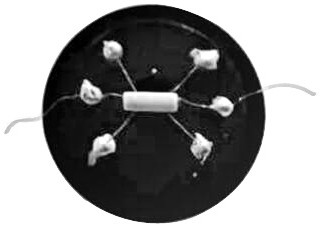 Tin oxide-based hydrogen sensing material based on rare earth element doping and precious metal modification as well as preparation method and application of tin oxide-based hydrogen sensing material