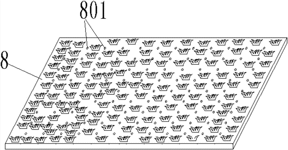 Greening drainage device