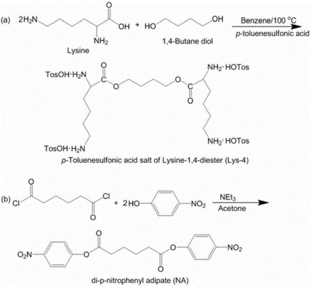 Chemical grafted type long-acting sustained-release silk suture with antibacterial function and preparation method of silk suture