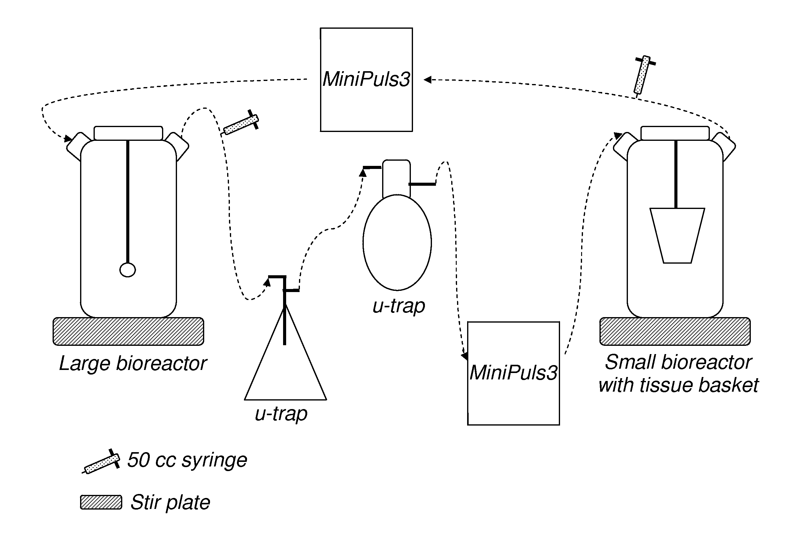 Method for decellularization