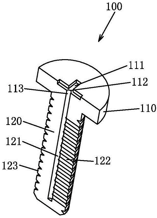 Dispensing screw