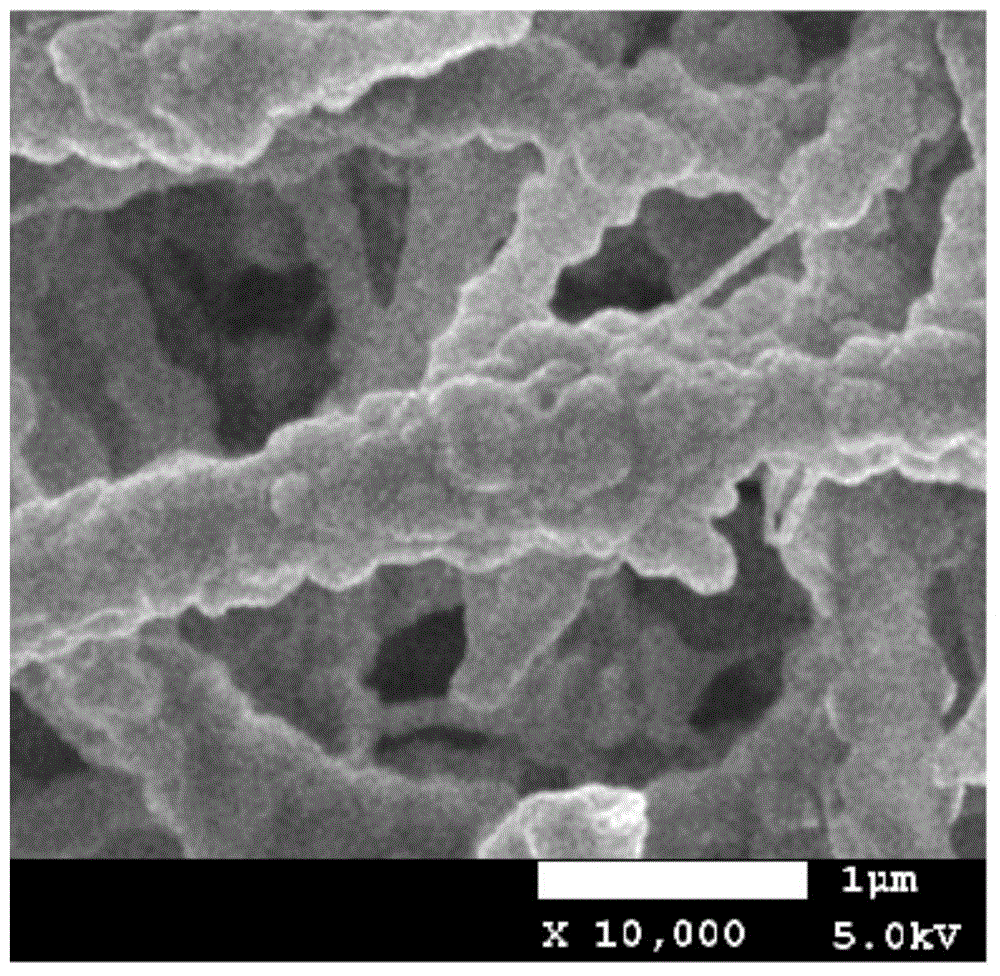 Preparation method of polytetrafluoroethylene film