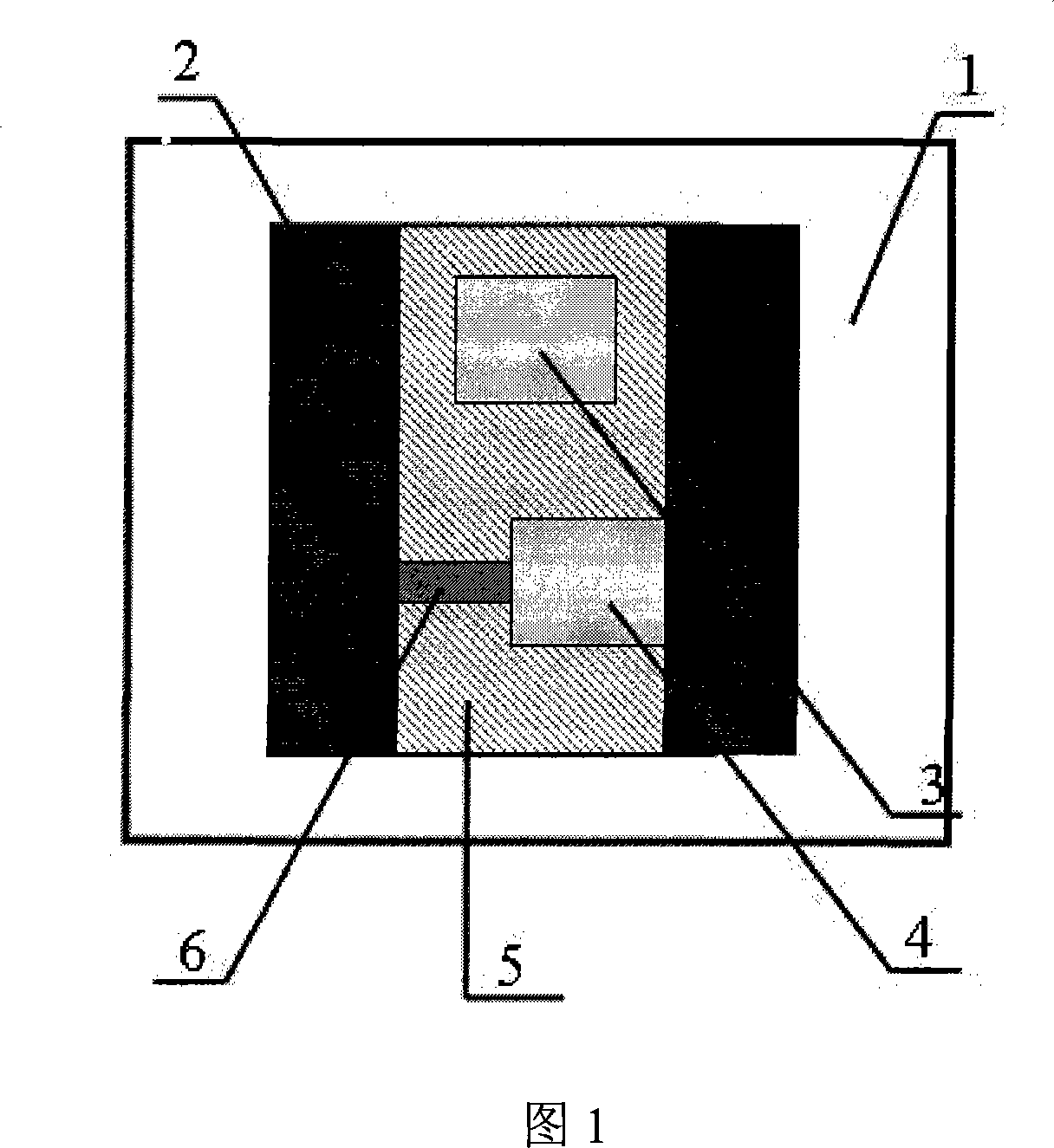 Scanning electron microscope in situ electric measuring apparatus