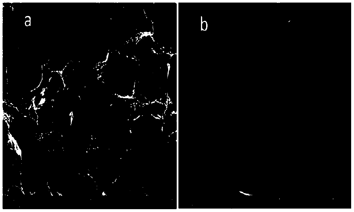 A kind of high thermal conductivity diamond-metal composite material and preparation method thereof