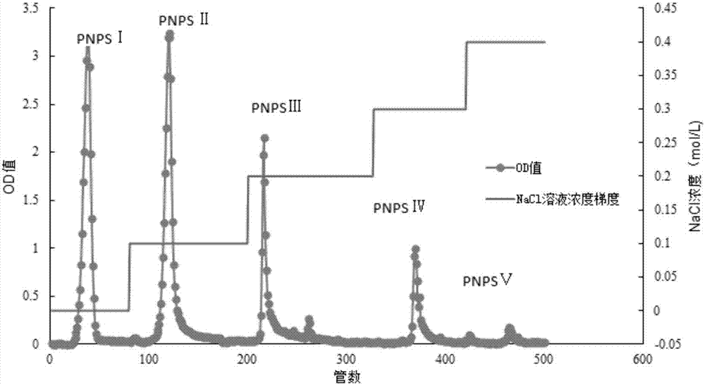 Method for extracting and purifying neutral pseudo-ginseng polysaccharide, research and application for pharmacological activity for promoting cell proliferation