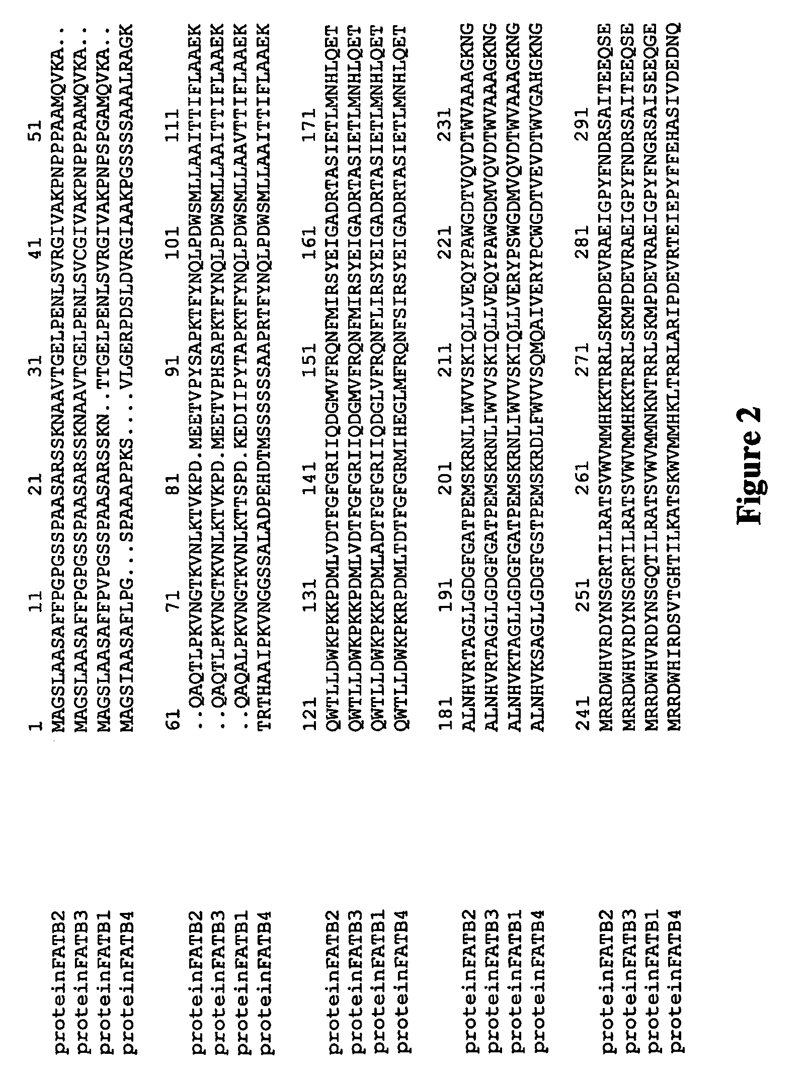 Altering the fatty acid composition of rice