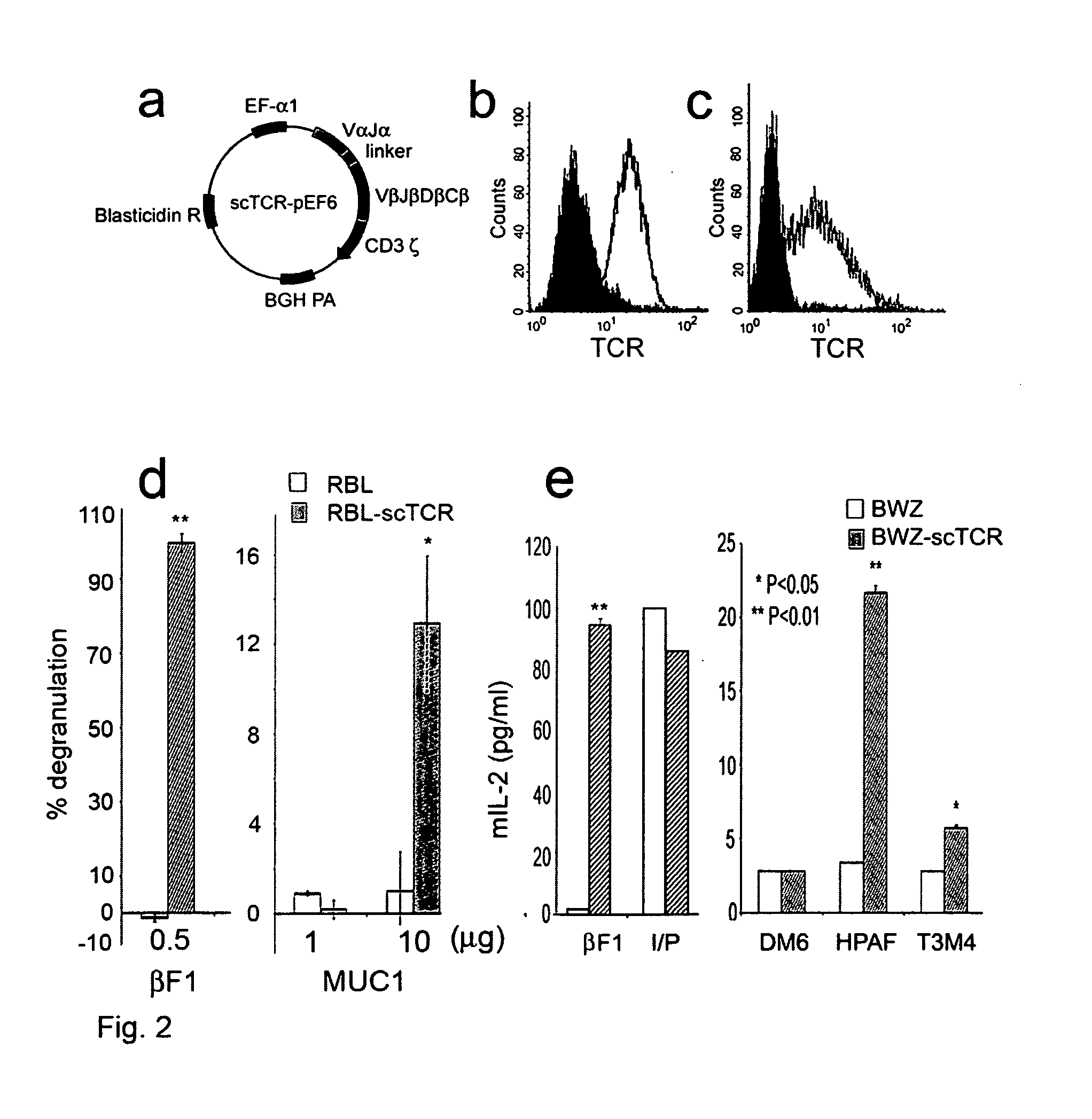 Therapeutic and diagnostic cloned MHC-unrestricted receptor specific for the MUC1 tumor associated antigen